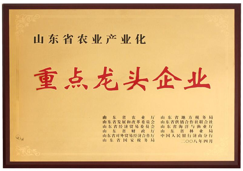 重點龍頭企業(yè)